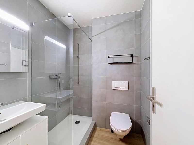 Prächtige 4,5-Zimmer-Wohnung im Dachgeschoss mit Mezzanine und Garage-Box (4)