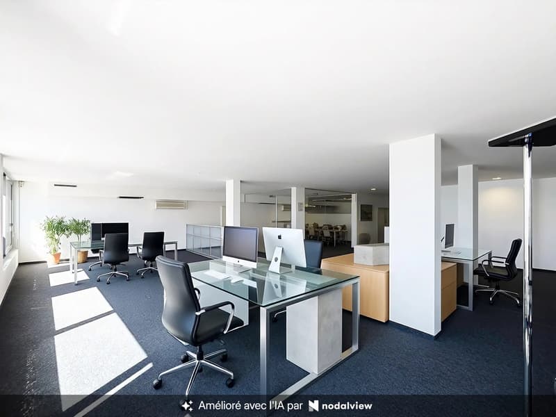 Prestigieux bureaux avec panorama exceptionnel (12)