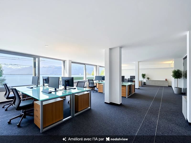 Prestigieux bureaux avec panorama exceptionnel (1)