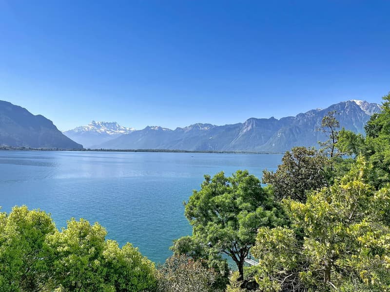 Prestigieux bureaux avec panorama exceptionnel (3)
