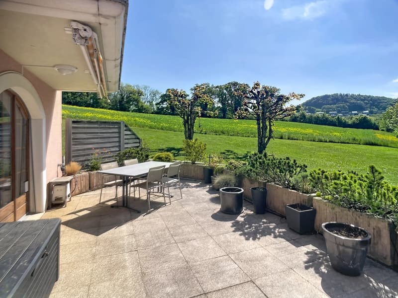 2,5 Zimmer mit 38 m2 Terrasse - Seeblick (2)