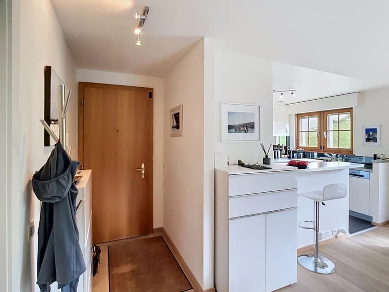 2,5 Zimmer mit 38 m2 Terrasse - Seeblick (4)