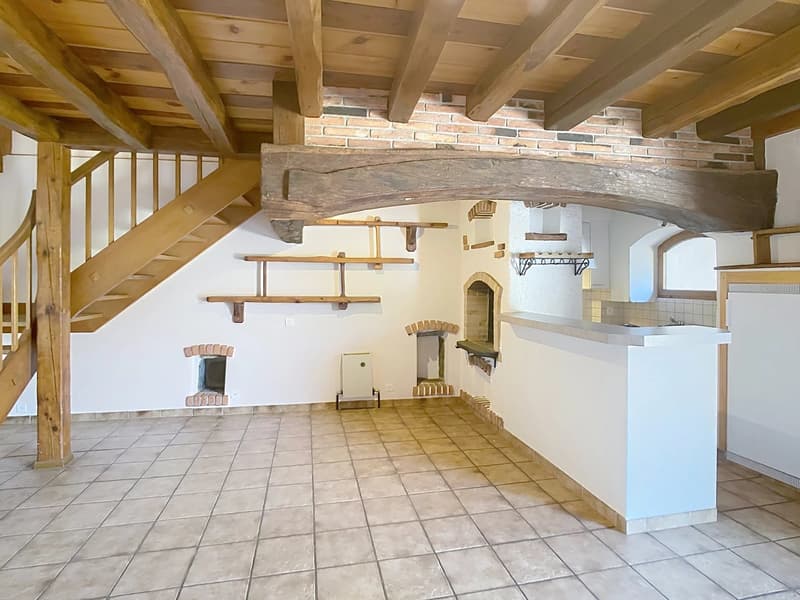 PORTES OUVERTES le 9 septembre 2026 - Appartement de charme avec terrasse privative de 25 m² (9)