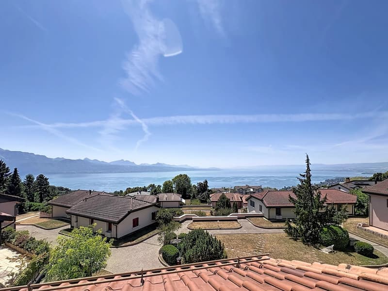 Attique de 135 m2 avec vue imprenable sur le bassin lémanique (1)