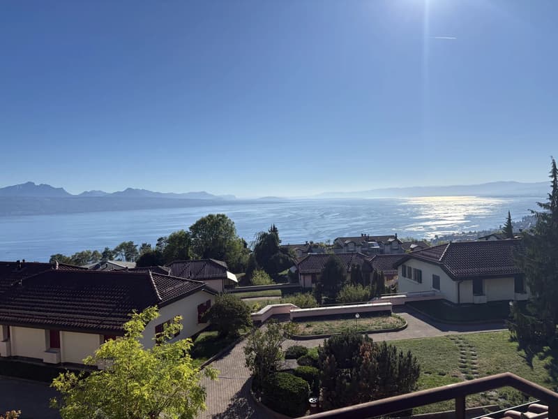 Attique de 135 m2 avec vue imprenable sur le bassin lémanique (1)