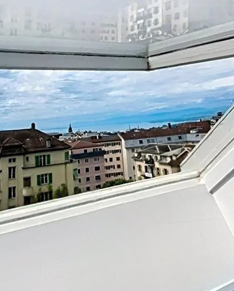 Élégant appartement de 2.5 pièces entièrement rénové (2)