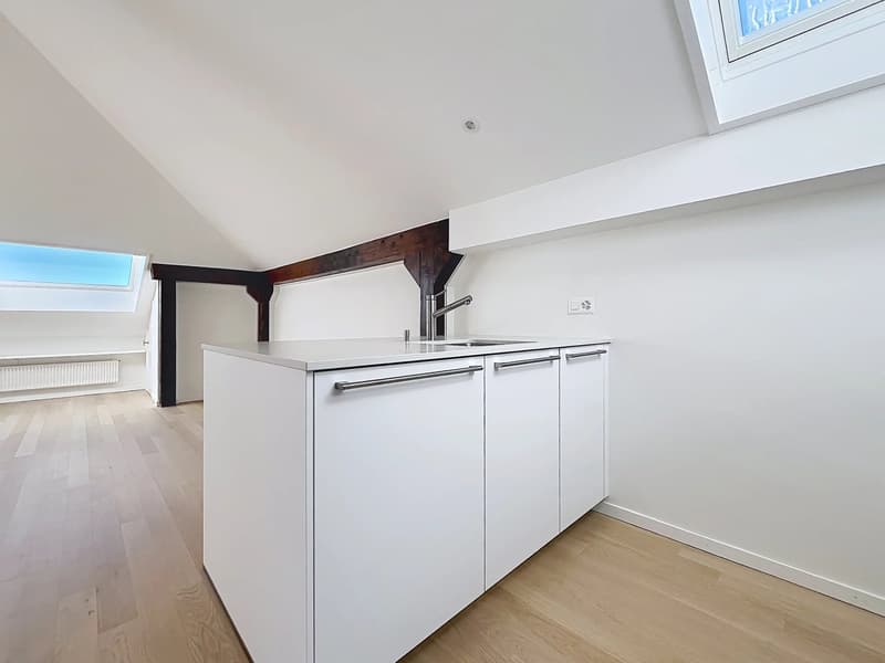 Élégant appartement de 2.5 pièces entièrement rénové (6)