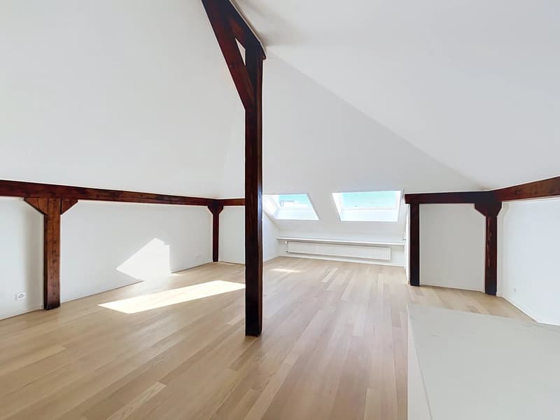 Élégant appartement de 2.5 pièces entièrement rénové (11)