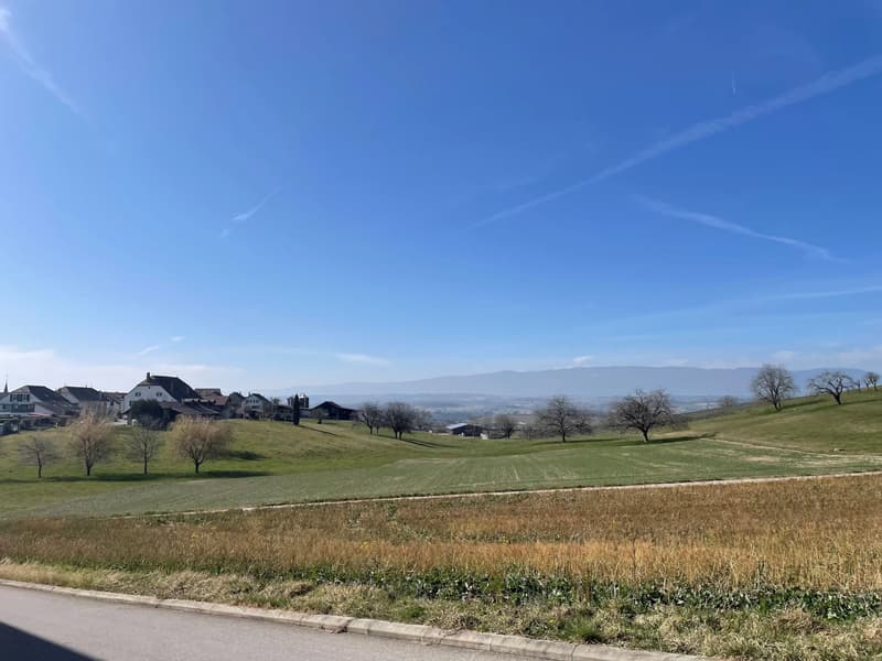Attique de 103 m2 avec grand balcon (11)