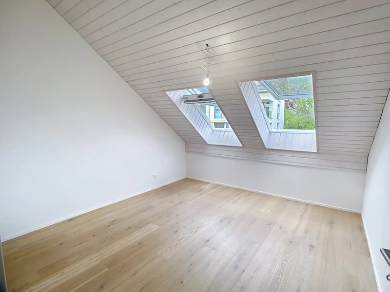 Attique de 103 m2 avec grand balcon (7)