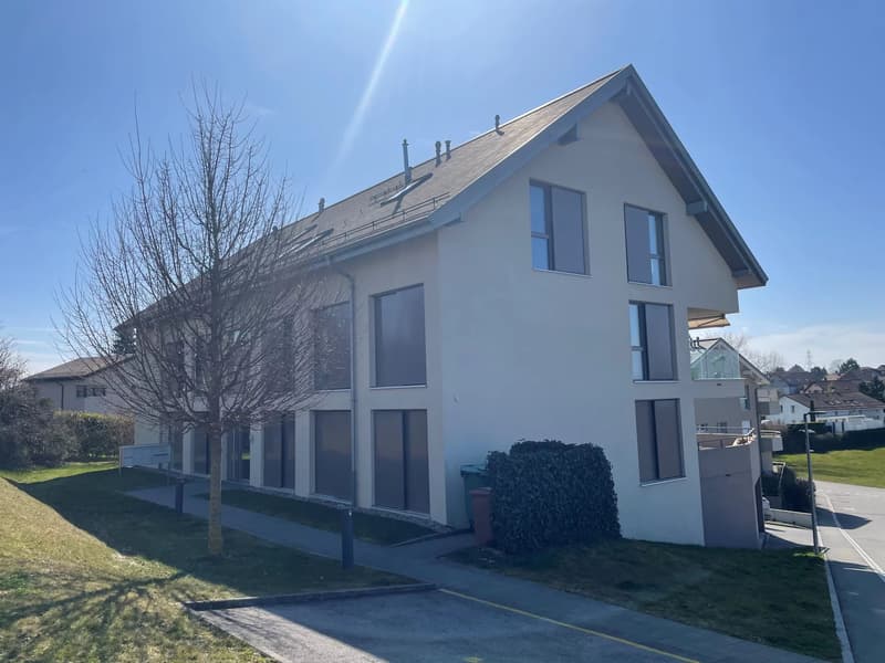 Attique de 103 m2 avec grand balcon (10)