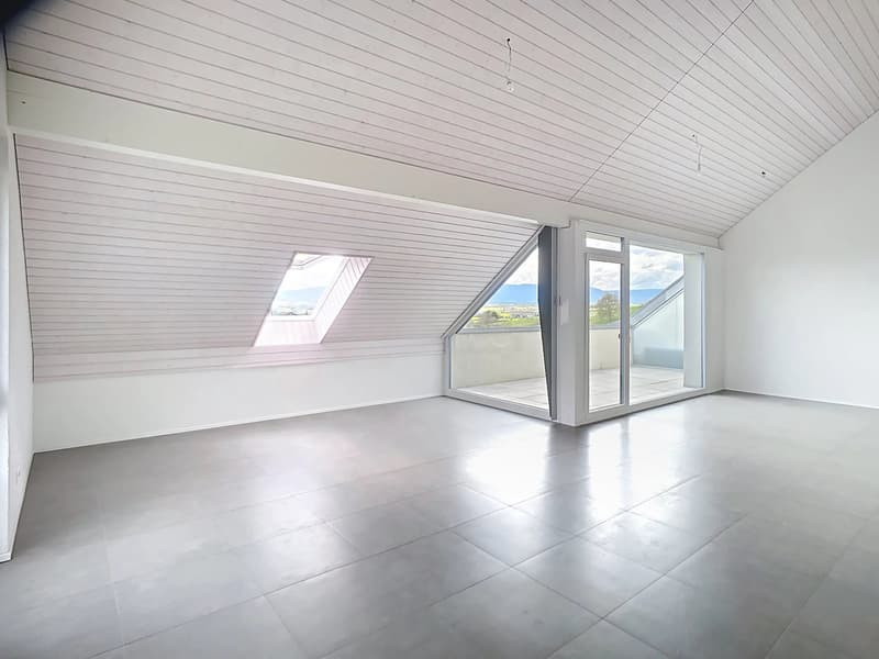Attique de 103 m2 avec grand balcon (4)