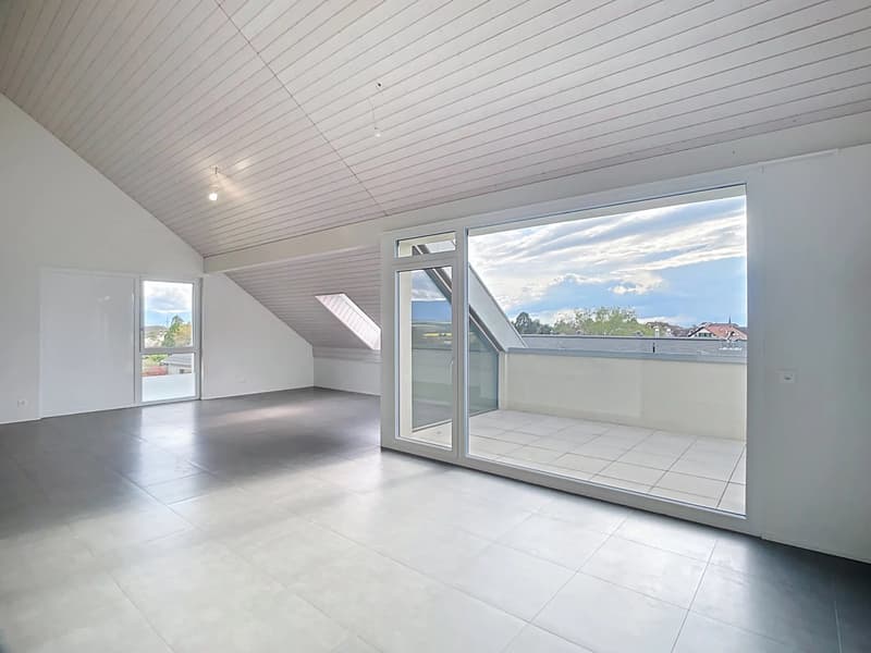 Attique de 103 m2 avec grand balcon (1)