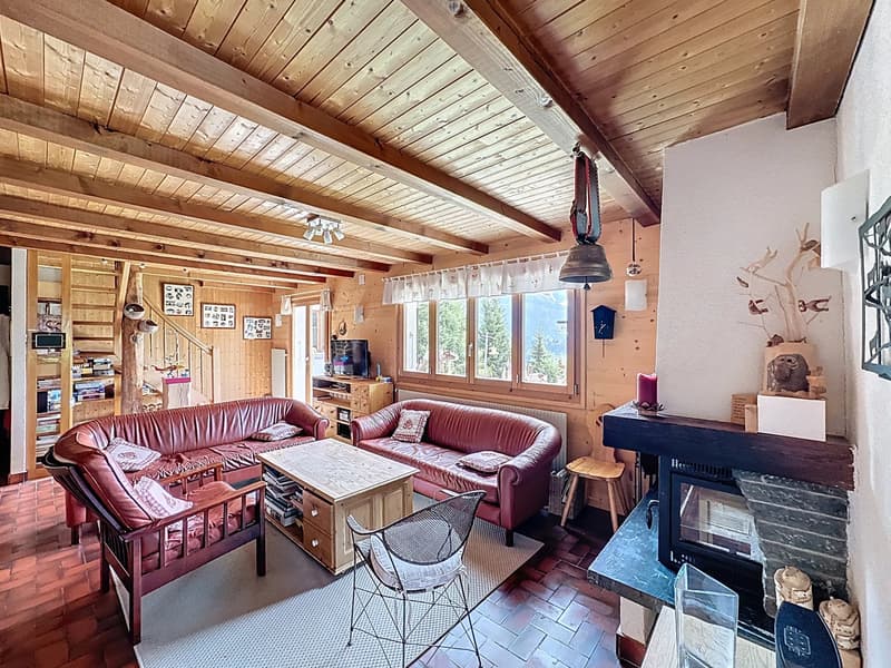 Family Chalet / Portes du Soleil / les Crosets (4)