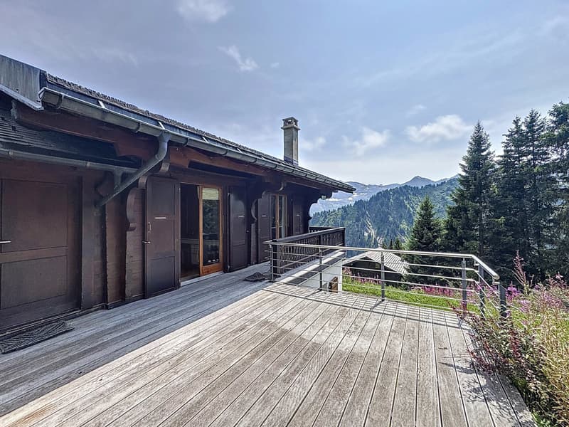 Family Chalet / Portes du Soleil / les Crosets (7)