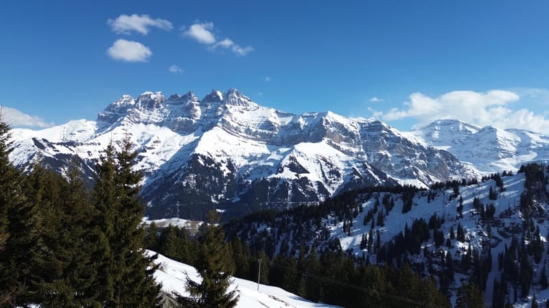 Family Chalet / Portes du Soleil / les Crosets (2)