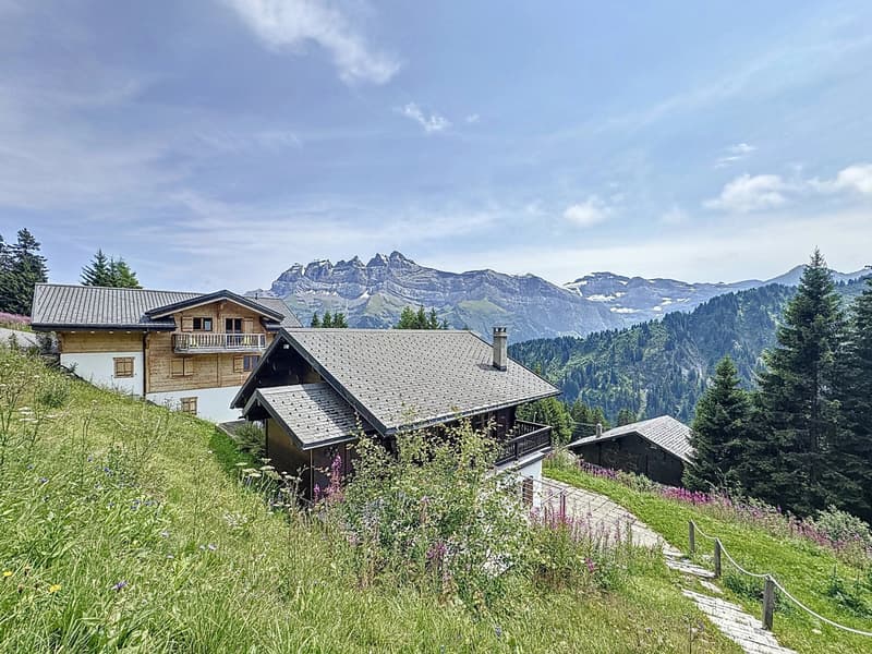 Family Chalet / Portes du Soleil / les Crosets (8)