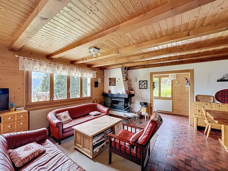 Family Chalet / Portes du Soleil / les Crosets (6)