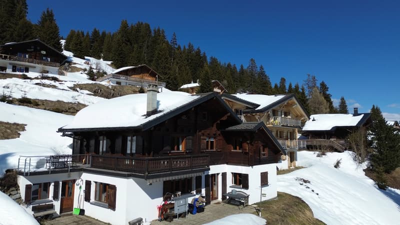 Family Chalet / Portes du Soleil / les Crosets (1)