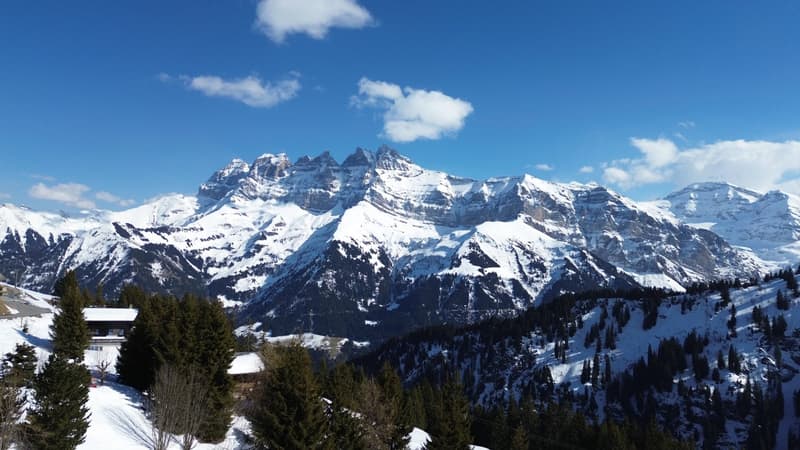 Family Chalet / Portes du Soleil / les Crosets (13)