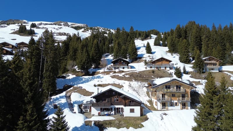 Family Chalet / Portes du Soleil / les Crosets (3)