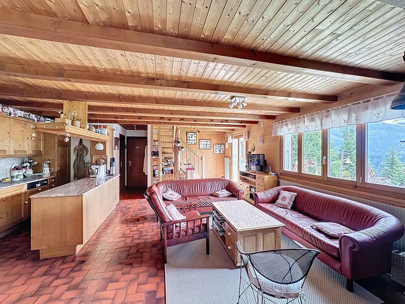 Family Chalet / Portes du Soleil / les Crosets (5)