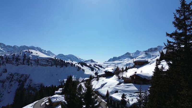 Family Chalet / Portes du Soleil / les Crosets (12)