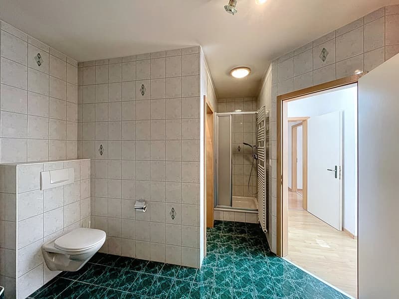 Spacious family house in a sought-after neighborhood (7)
