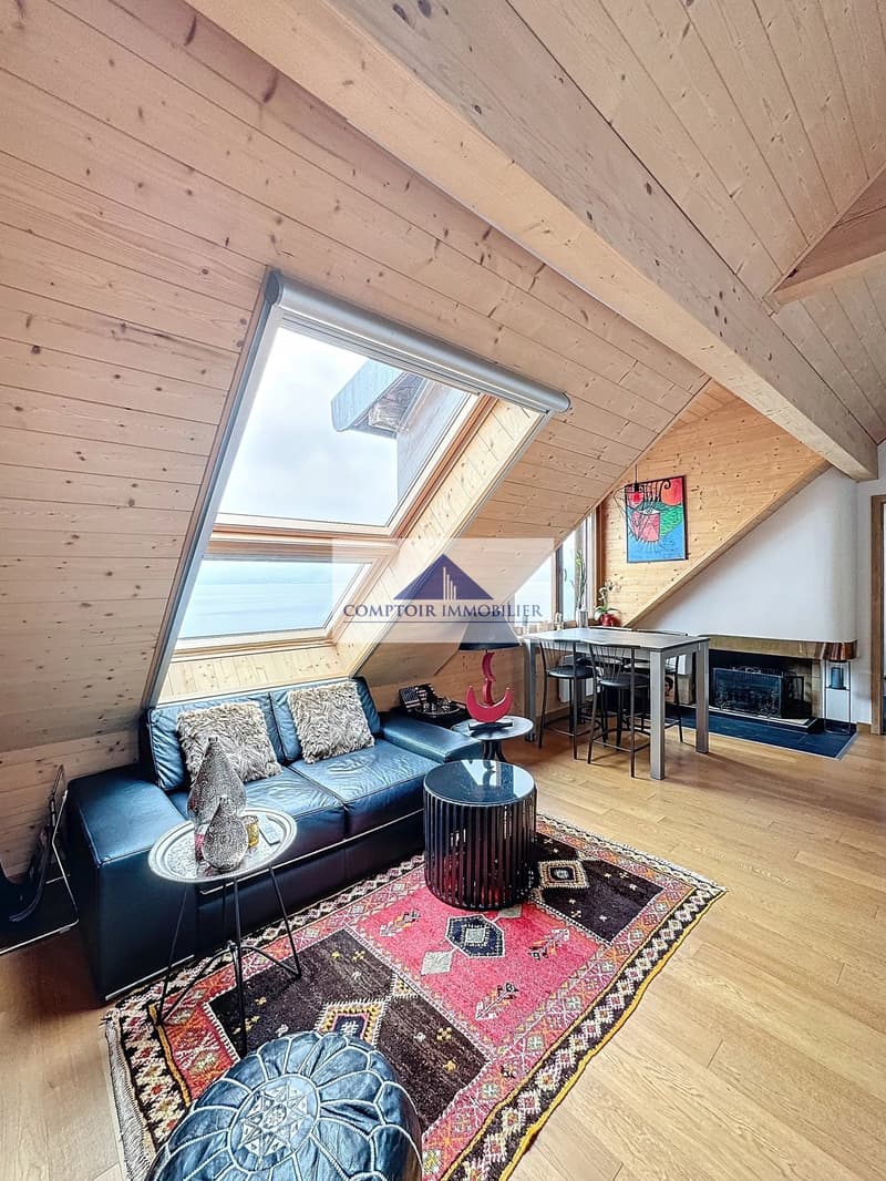 2.5 rooms in the attic facing the lake (2)