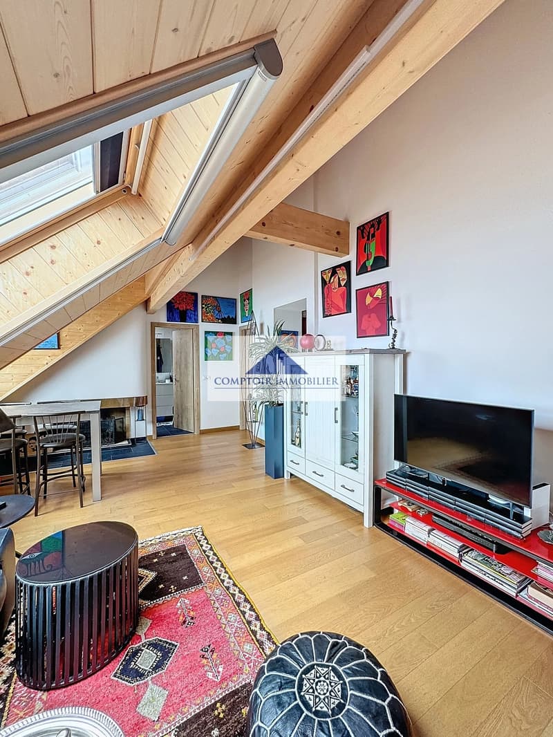 2.5 rooms in the attic facing the lake (3)