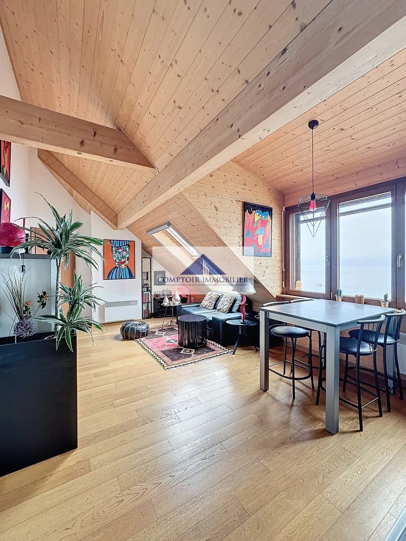2.5 rooms in the attic facing the lake (1)