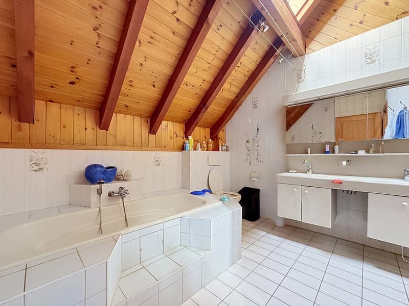 Individual villa with garden in a residential area of Collombey (9)