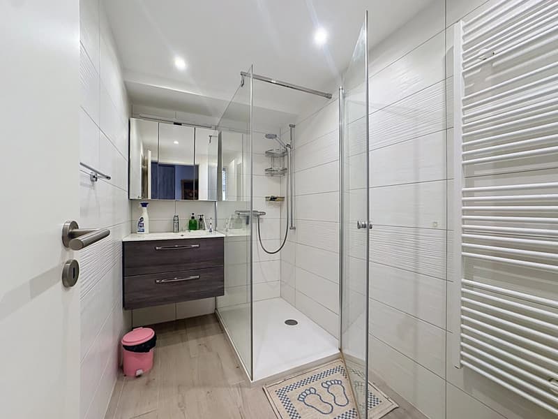 Individual villa with garden in a residential area of Collombey (13)
