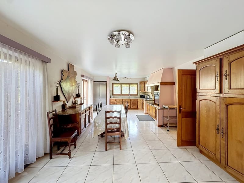 Individual villa with garden in a residential area of Collombey (3)