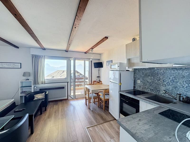 Torgon, 2.5 pièces meublé avec balcon, ouvert à la résidence secondaire et aux étrangers (3)