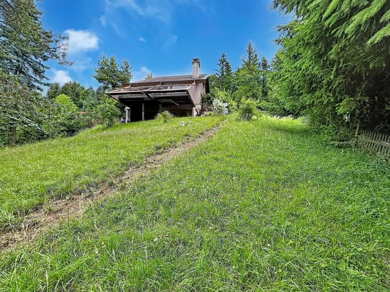 Charming chalet in the heart of a green oasis (13)