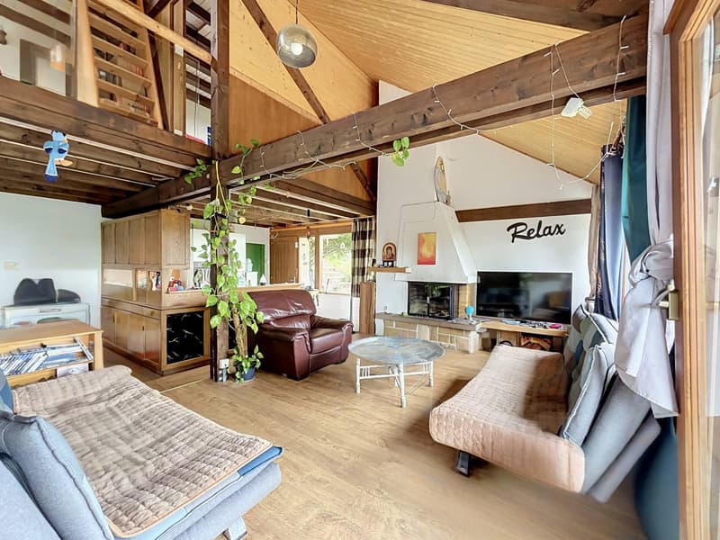 Charming chalet in the heart of a green oasis (1)