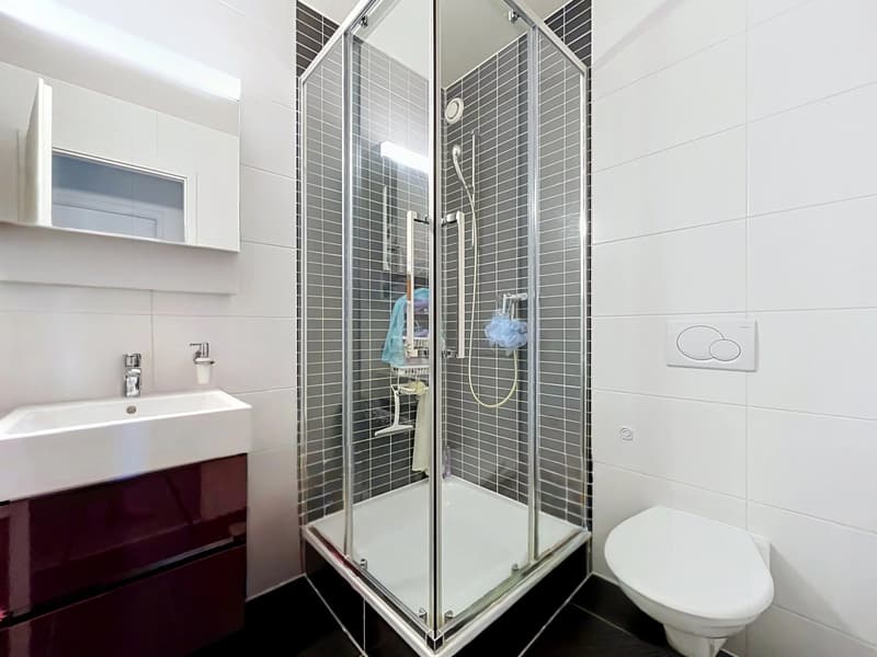 Appartement de charme dans un cadre paisible (7)