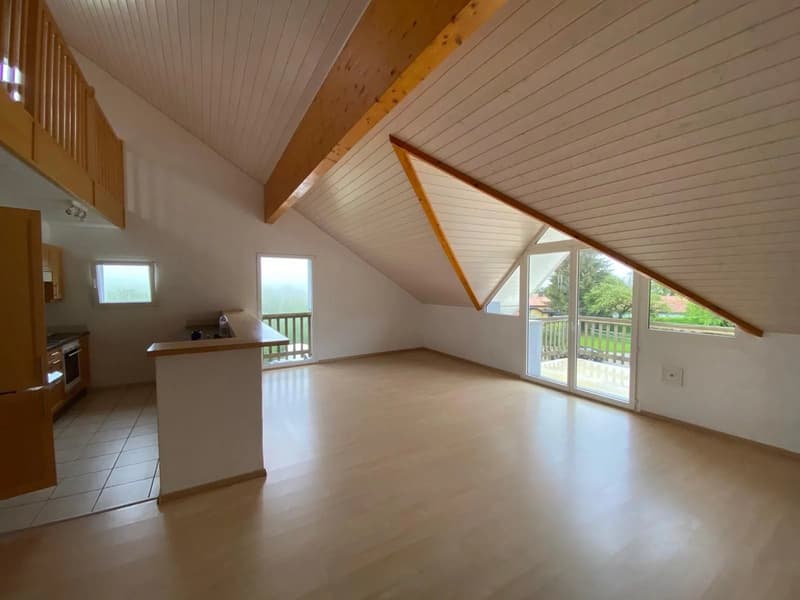 4,5 locali in duplex - Affittato (5)