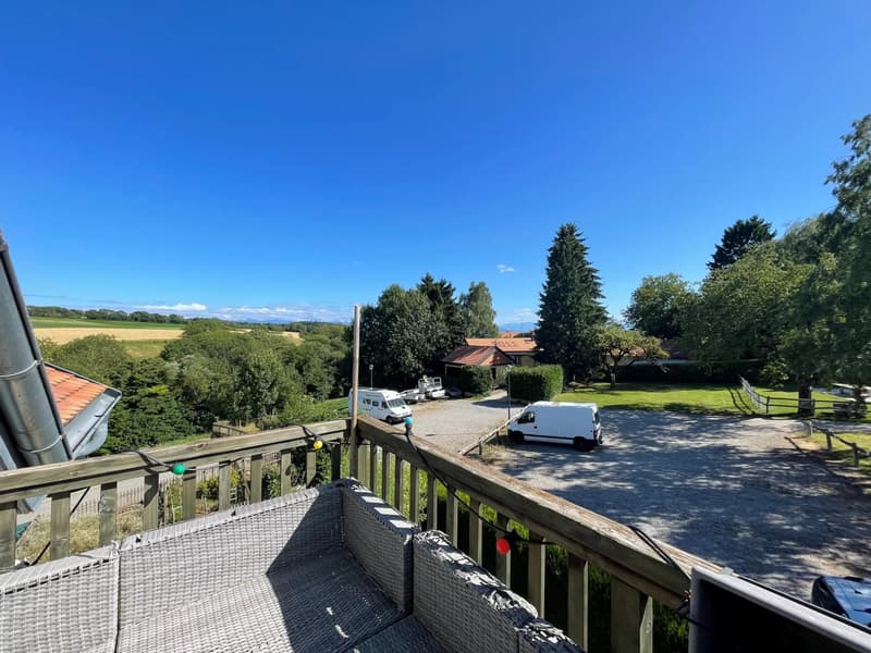 4,5 locali in duplex - Affittato (3)