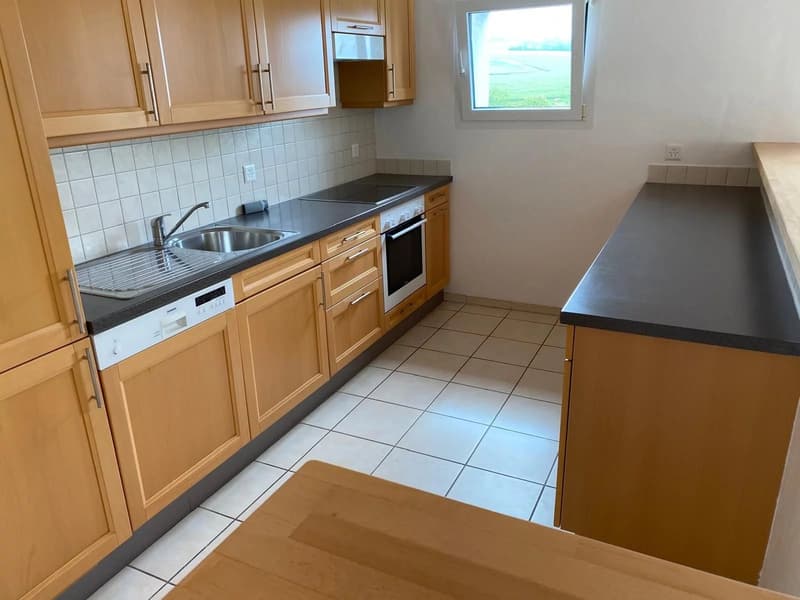 4,5 locali in duplex - Affittato (4)