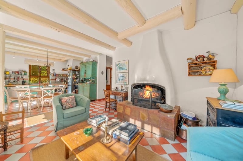 Villa de caractère 5?6 pièces, un lieu unique au charme intemporel (3)