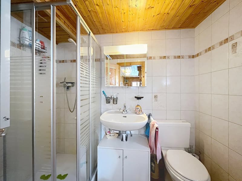 Old mazot converted into chalet (9)