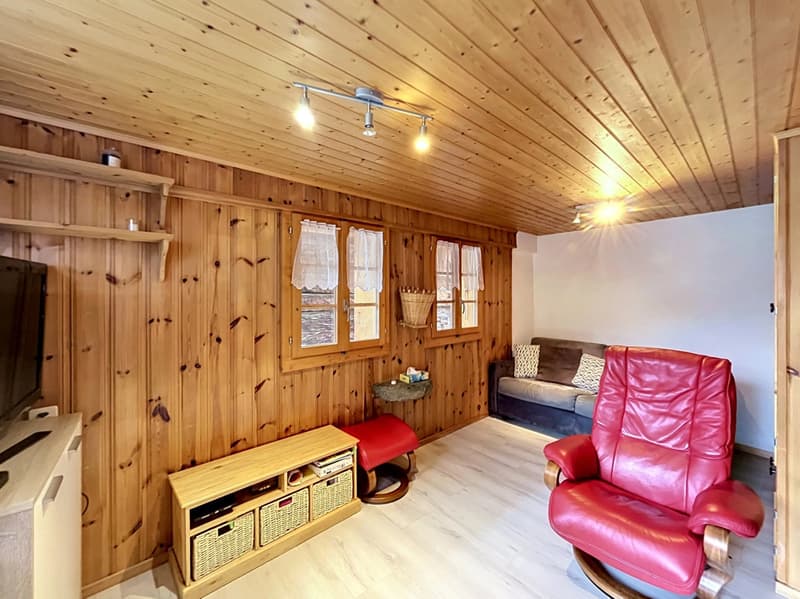 Old mazot converted into chalet (6)