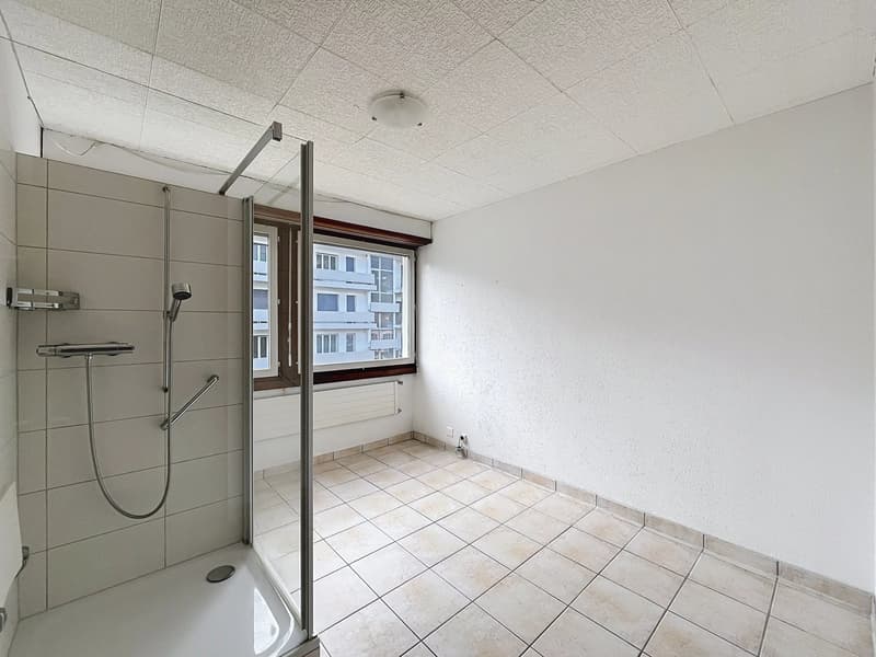 Apartment with 4 1/2 rooms close to the center of Sierre (12)