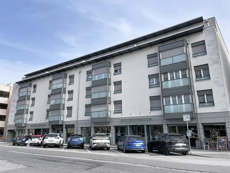 Large family apartment with 4 rooms and open view in Sierre (1)