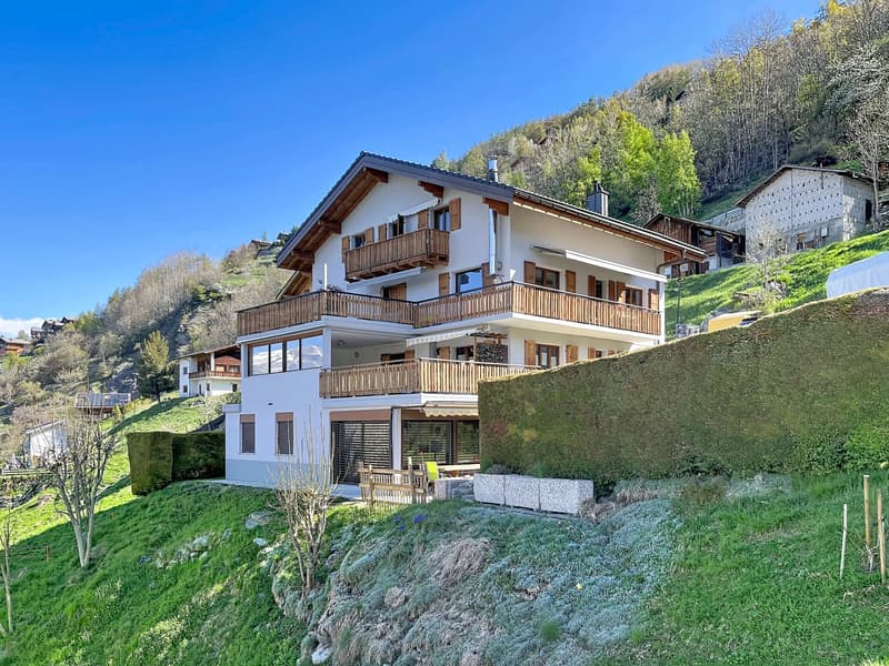 Appartamento di 4 1/2 locali con una vista magnifica (3)