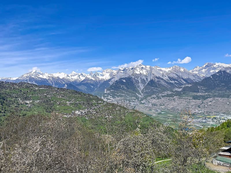 Appartamento di 4 1/2 locali con una vista magnifica (1)
