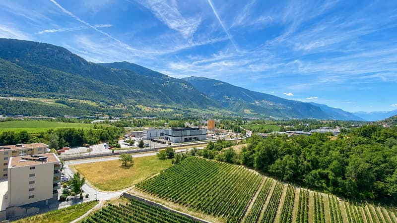 Appartement de 4,5 pièces au 10e étage avec vue panoramique (9)