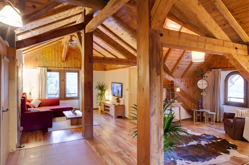 Vente - Immeuble Chemin (10)